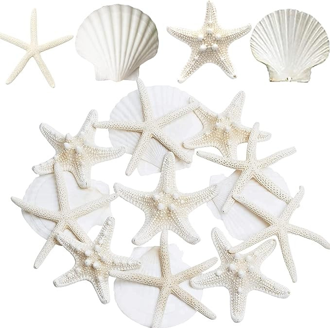 JQAQJU 3-4 Inches Large Starfish and Scallop Shells for Crafts 12PCS, Natural Beach Sea Shells fo... | Amazon (US)