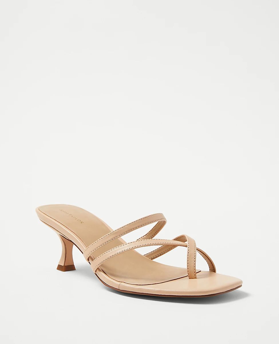 Strappy Leather Mule Sandals | Ann Taylor (US)