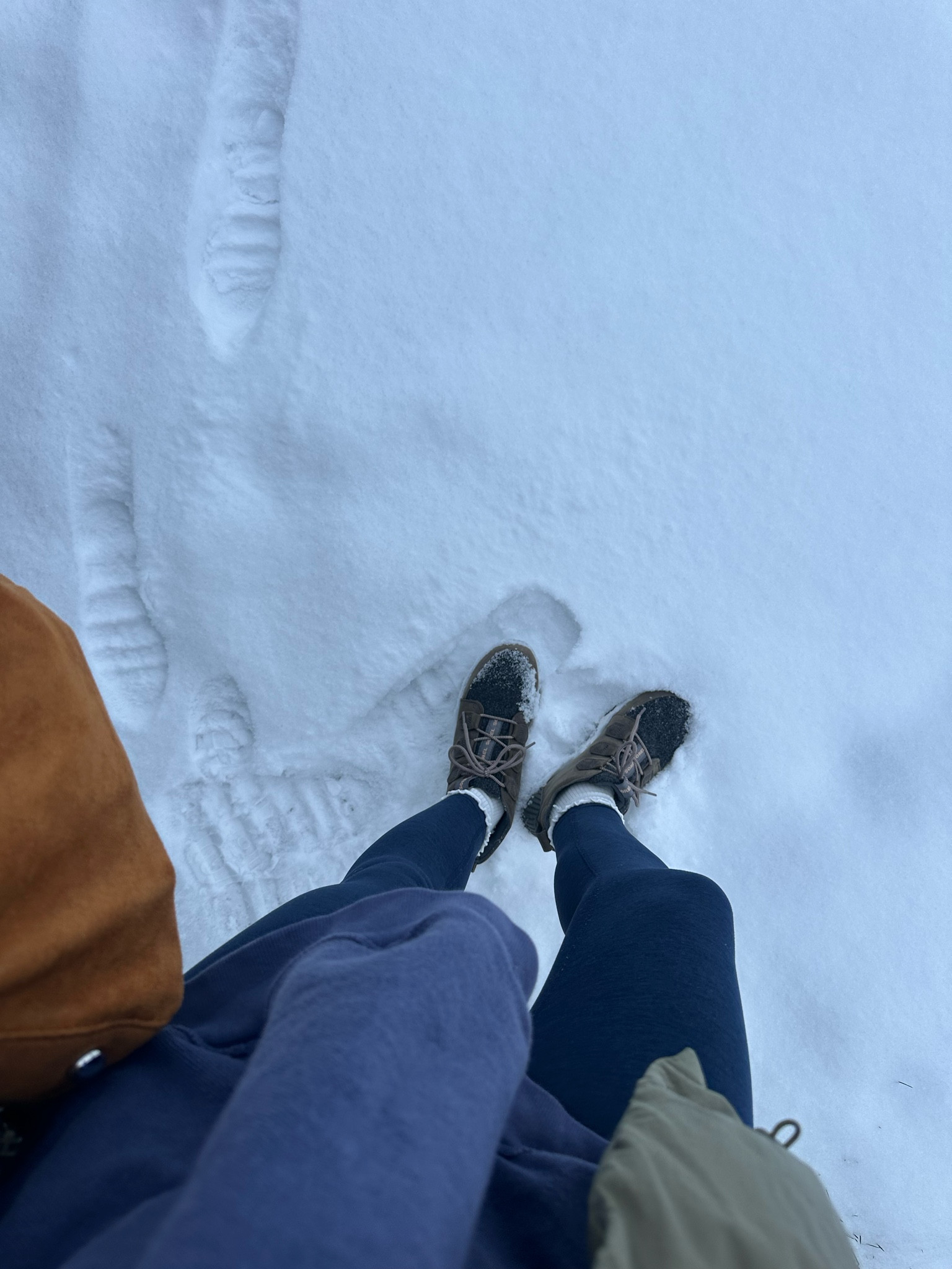 my favorite Sorel sneakers that are water proof 

#LTKSeasonal #LTKGiftGuide #LTKootd