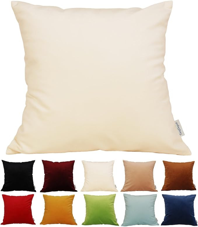 TangDepot Solid Velvet Throw Pillow Cover/Euro Sham/Cushion Sham, Super Luxury Soft Pillow Cases,... | Amazon (US)
