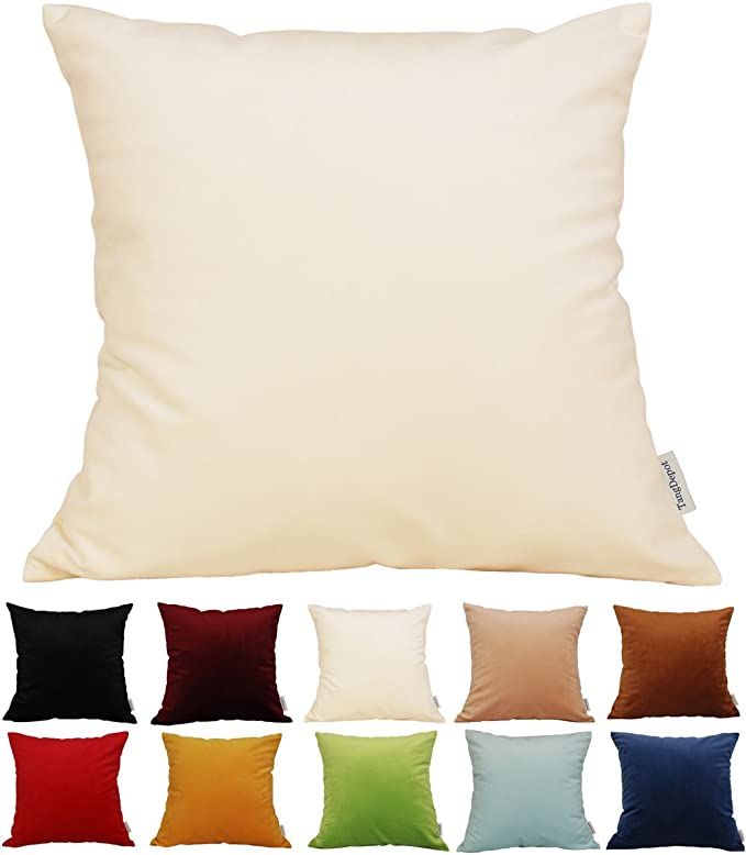 TangDepot Solid Velvet Throw Pillow Cover/Euro Sham/Cushion Sham, Super Luxury Soft Pillow Cases,... | Amazon (US)