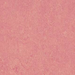 Cinch Loc Seal Honey Suckle 9.8 mm T x 11.81 in. W x 35.43 in. L Laminate Flooring (20.34 sq. ft./case) | The Home Depot