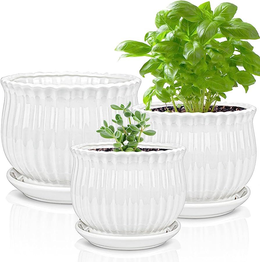 Yesland Ceramic Flower Plant Pots with Saucer, Set of 3 in Different Sizes, Modern Round Ceramic ... | Amazon (US)