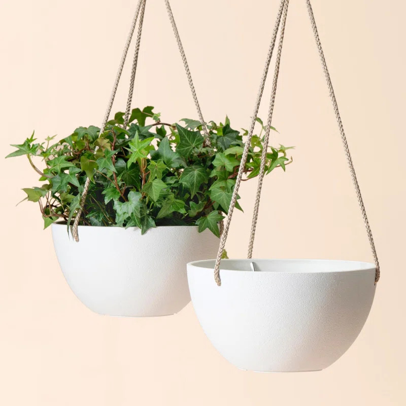 Boxdale Hanging Planter (Set of 2) | Wayfair North America