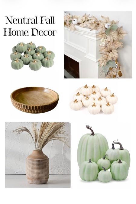 Neutral Fall decor for 2023. Green is the new orange when it comes to pumpkins. 

#LTKSeasonal #LTKhome #LTKunder50