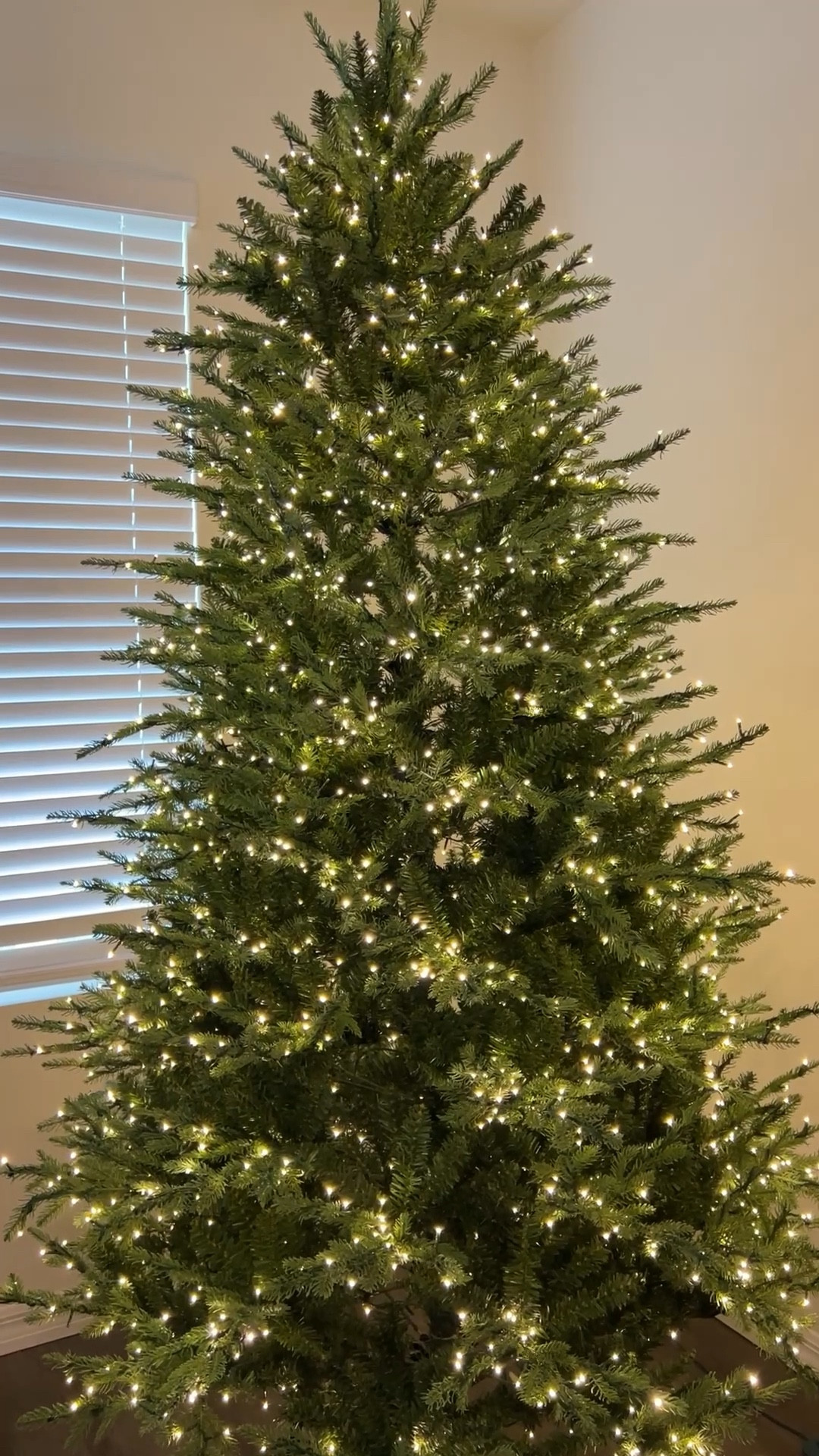 Christmas trees! This is my second year with this tree and I just love how beautiful it is and how it twinkles! 

#LTKHome #LTKHoliday #LTKSeasonal