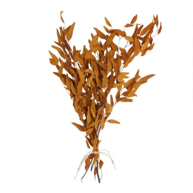 Dried Terracotta Willow Eucalyptus Bunch | World Market
