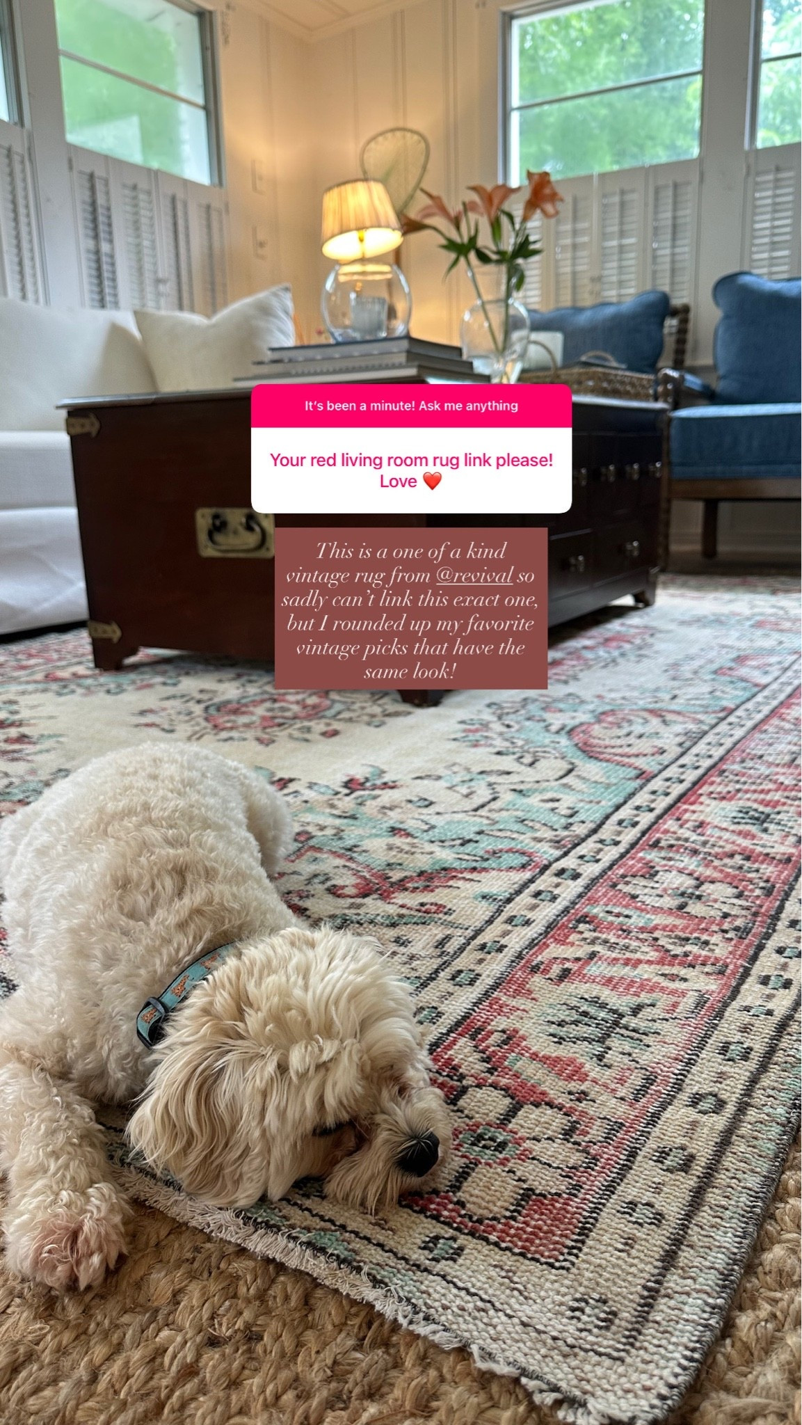 One of my favorite statement pieces in my home is this vintage rug from Revival - linking my favorite one of a kind vintage picks that give the same look 🤍

#LTKdayinmylife #LTKHome