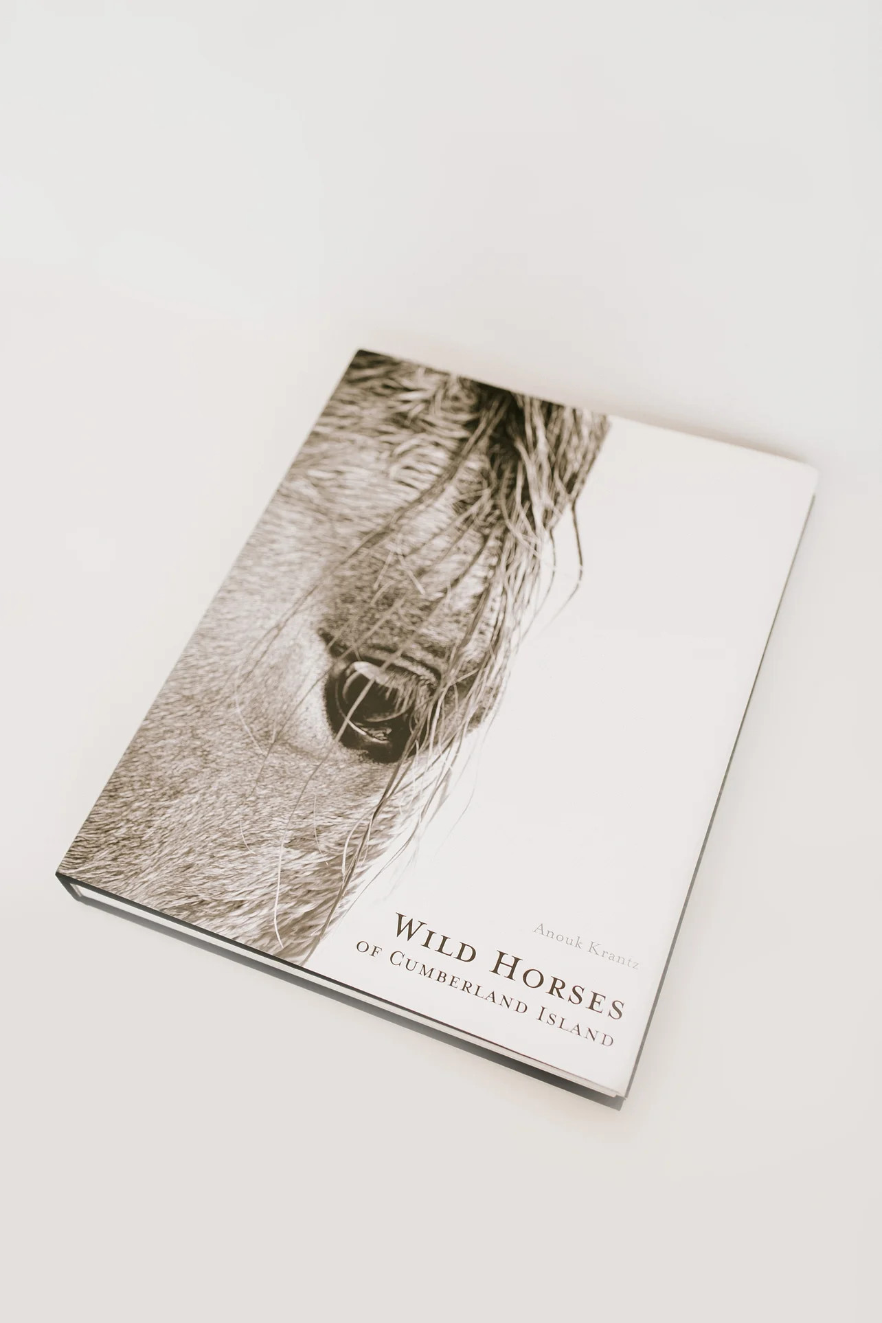 Wild Horses of Cumberland Island | THELIFESTYLEDCO
