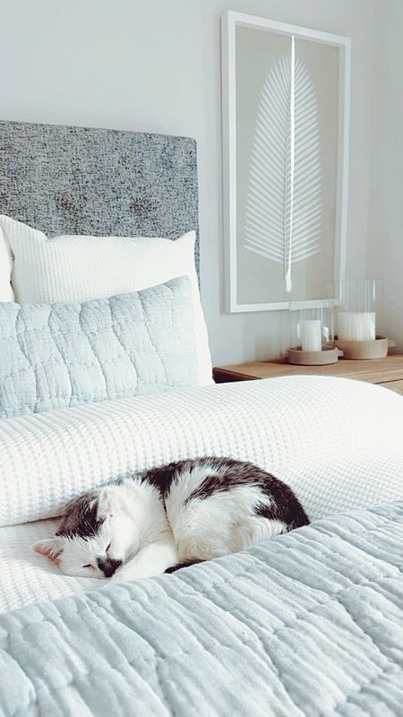 Bedroom Inspo ☁️✨ Add these to make your home feel bright, airy, + cozy with a touch of modern coastal vibes 🌊🐚

Begin with a classic white foundation by using the best-selling white honeycomb duvet cover and matching pillow shams. These have a subtle texture so it’s not “blah.” 

My trick to making the bed look extra cozy, comfy, and cloud-like is by adding an extra Buffy comforter inside (or under) the duvet cover. 

Then, use the chambray cloud quilt and matching shams to add a pop of color that gives the room the calming coastal color palette. Using these linens with different textures also adds dimension to the space!

Another way to add interest to the space is with decor! The white-washed wood bead chandelier adds character and charm while also functionally providing more light to brighten the room.

The Sausalito nightstands are shown in a seafrift finish which gives the bedroom a beachy, coastal look. They are very solid and provide wide drawers for storage. This collection from Pottery Barn has a variety of size options and matching furniture (like dressers, storage…)

The ivory chunky knit sweater handwoven rug makes the room feel cozy all year long! It comes in a variety of sizes. We used the 9'x12’ to go with our king bed.

The artisan handcrafted ceramic hurricane candleholders in white gray compliment the nightstands!

The palm leaf wall art helps to balance the room and adds to the coastal feel. 

Modern Coastal Bedroom, Master Bedroom, Home Decor, Modern Coastal Home, Coastal Bedroom, Neutral Home Decor, Bedding, Pottery Barn, Bedroom Inspiration, Neutral Bedroom, Florida Home, Beach House, Home Inspo, Neutral Home, Neutral Bedroom, guest bedroom, beach home, bedroom styling, bedroom wall art, bedroom chandelier, beaded chandelier, wood bead chandelier, master bedroom styling, master bedroom decor, beach home decor, Sausalito nightstand, natural wood nightstand, bedroom set, bedroom furniture, master bedroom bedding, neutral bedding, coastal bedding, white bedding, blue bedding, nightstand styling, console table styling, cozy bedroom, 

#LTKhome #LTKstyletip #LTKVideo