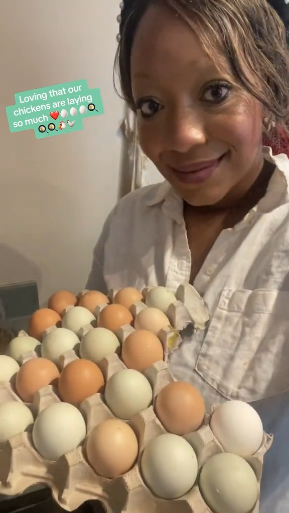 Love that our chickens are laying so much 🐔🥚❤️💕 Our family eats lots of eggs 🍳I’m enjoying finding some different recipes for eggs too! #homestead #homesteader #homesteadtiktok #chickens #eggs #mom #moms #momlife #momsoftiktok #homemaker #homemakersoftiktok #homemakers #eggharvest #chickensoftiktok 

#LTKworkwear #LTKfamily #LTKfindsunder50