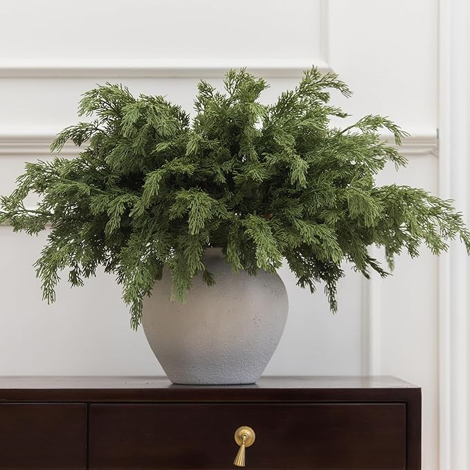 MISSPIN 30 Pcs 21.5 Inches Christmas Cedar Branches, Cedar Artificial Christmas Branches DIY Craf... | Amazon (CA)