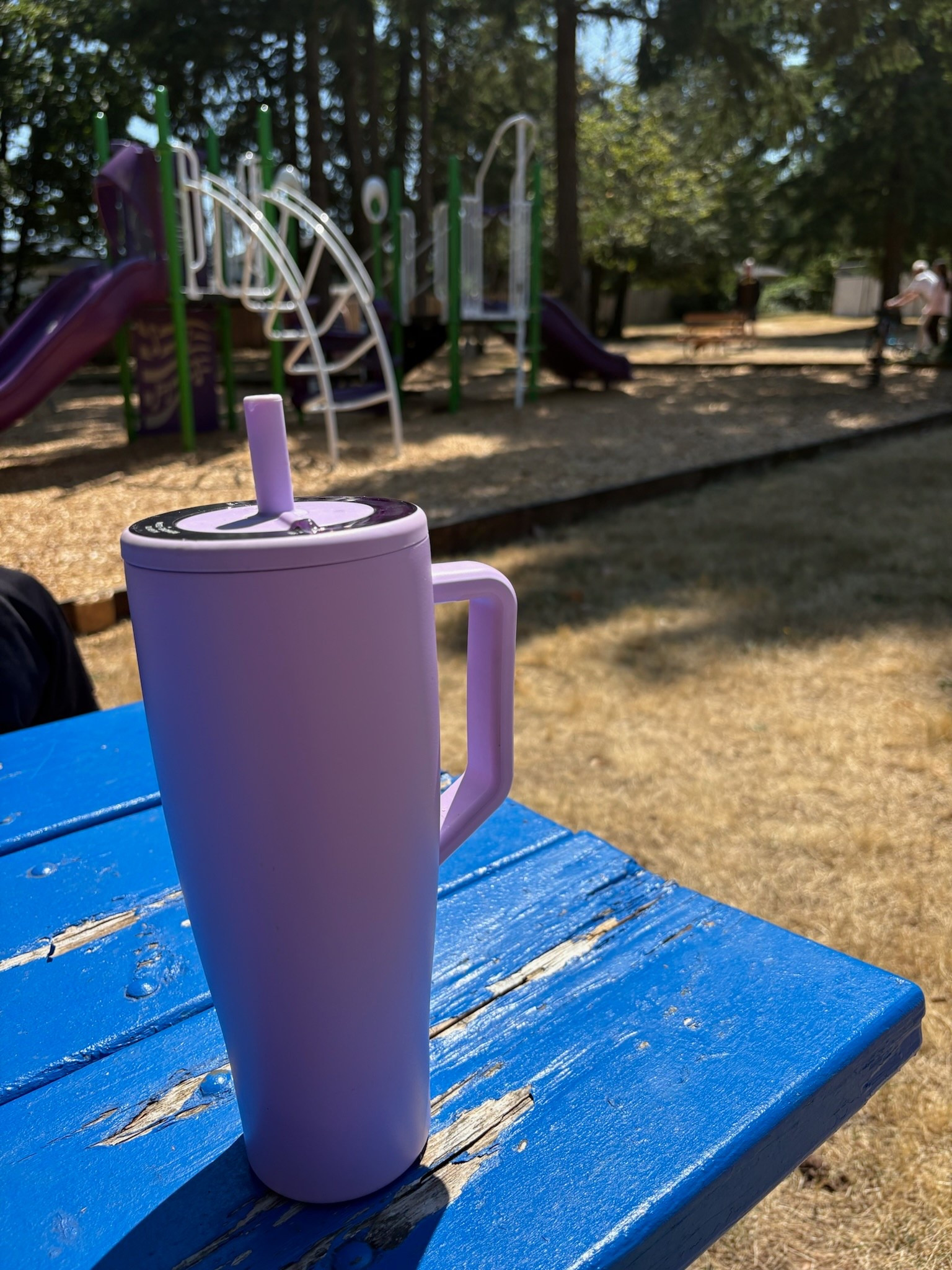 Julie's favorite Brumate!



#LTKFindsUnder100 #LTKHome #LTKActive