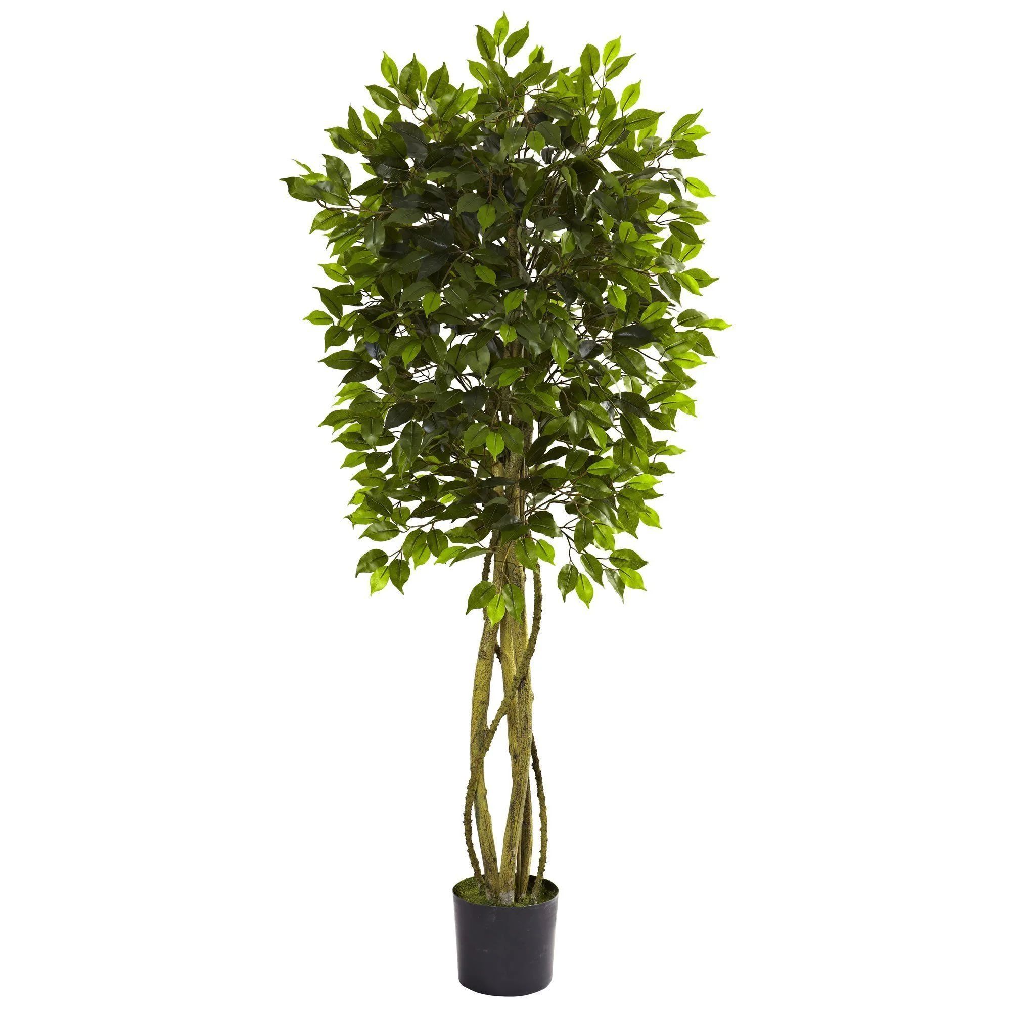 5.5' Ficus Tree UV Resistant (Indoor/Outdoor) | Nearly Natural | Nearly Natural