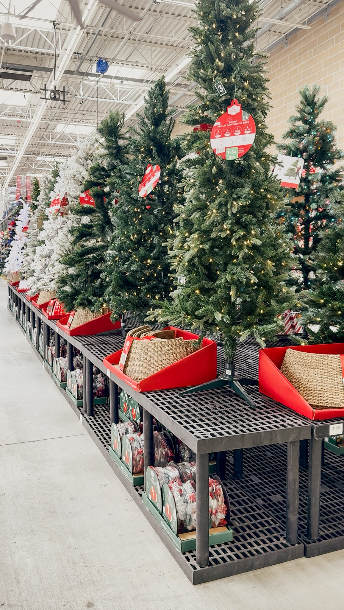 Come shop with me at Walmart! Christmas is out! 

THEBLOOMINGNEST Christmas decor ornaments 

#LTKHome #LTKSeasonal #LTKFamily