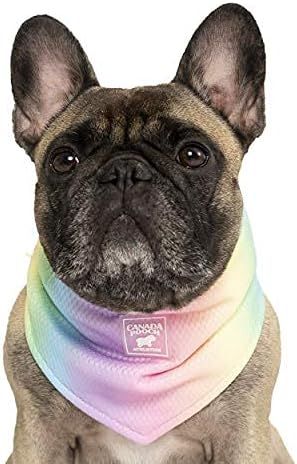 Canada Pooch Cooling Bandana for Dogs - Evaporative Cooling Dog Bandana with Breathable Mesh Materia | Amazon (US)