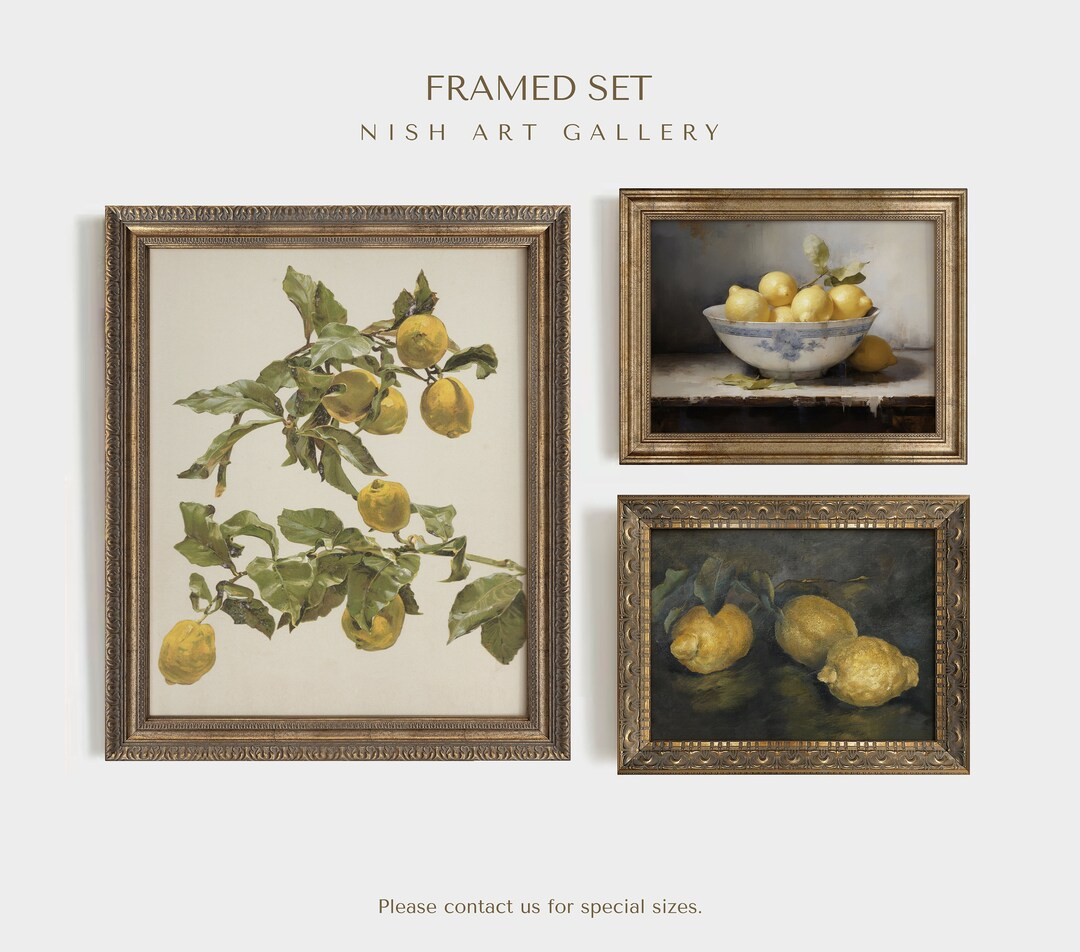 Kitchen Wall Art Set, FRAMED, SET OF 3, Vintage Gallery Wall Set, Lemon Print Set, Still Life Pai... | Etsy (US)