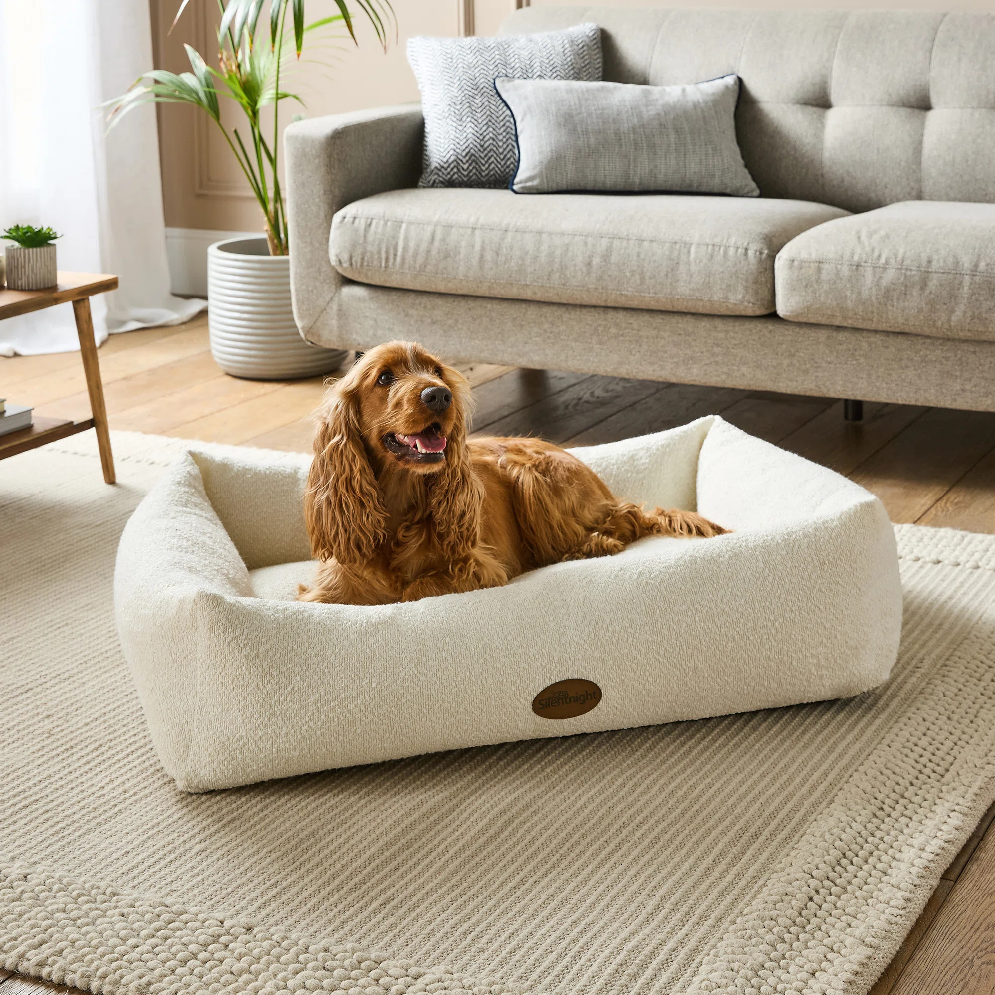 Silentnight Deep Sleep Ultimate Boucle Box Pet Bed | Wayfair UK