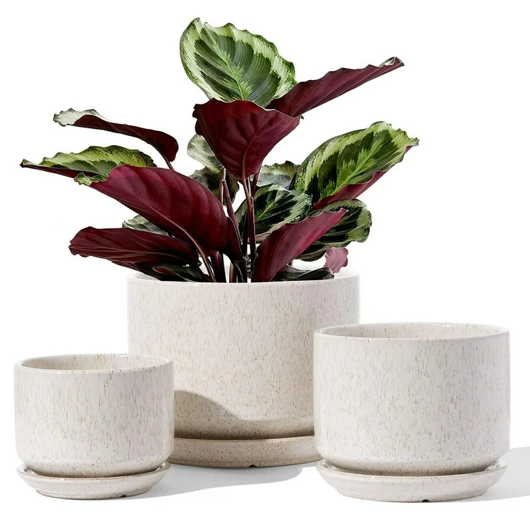 BEMAY Set of 3 Ceramic Plant Pots with Drainage Hole and Saucer, 4.3" 5.3" 6.8" Ceramic Flower Po... | Walmart (US)
