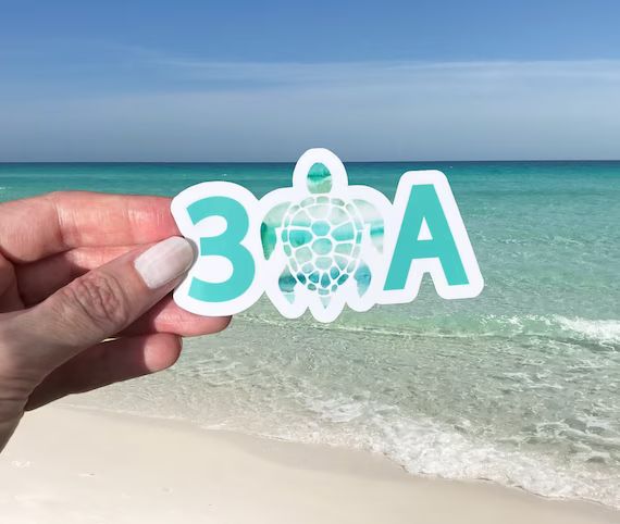 30A Florida Vinyl Sticker, Vibrant Emerald Coast Sunshine State Decal, Teal Watercolor Sea Turtle... | Etsy (US)