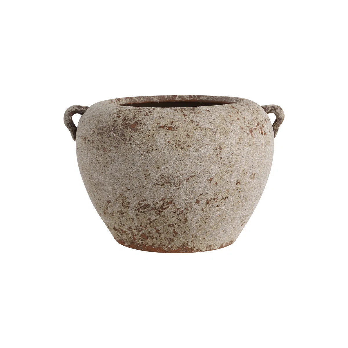 Severn Decorative Vase | Wayfair North America