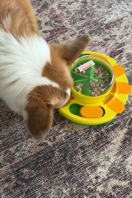 Willo’s new dog treat puzzle toy!