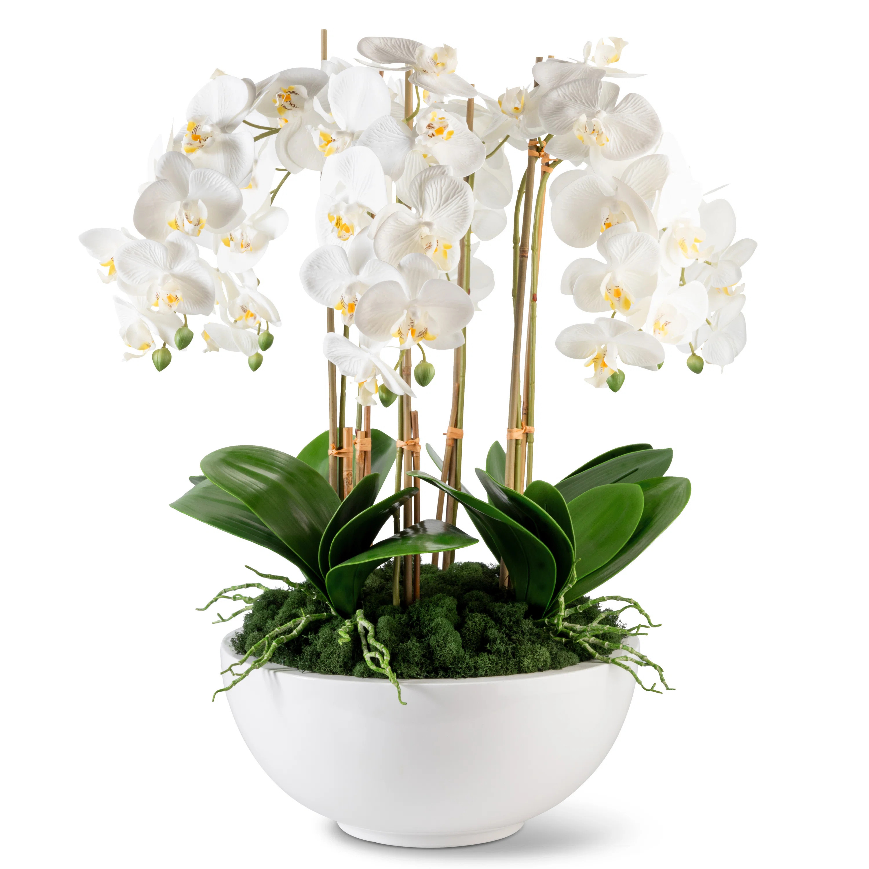 Orchid Polyethylene (PE) Orchid Arrangement in PlanterByCocoBella | Wayfair North America
