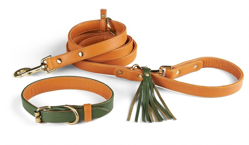 3 in 1 Leather Dog Leash and Collar - Etsy | Etsy (US)