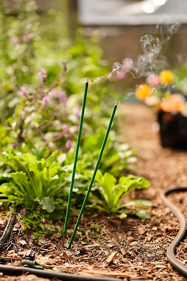 Citronella Garden Sticks | Anthropologie (US)
