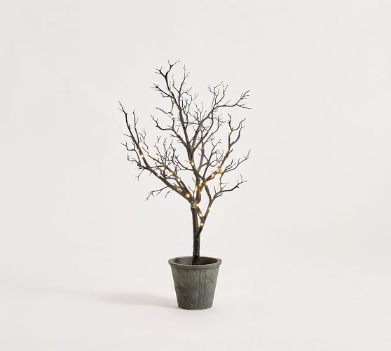 Faux Lit Black Potted Tree | Pottery Barn (US)