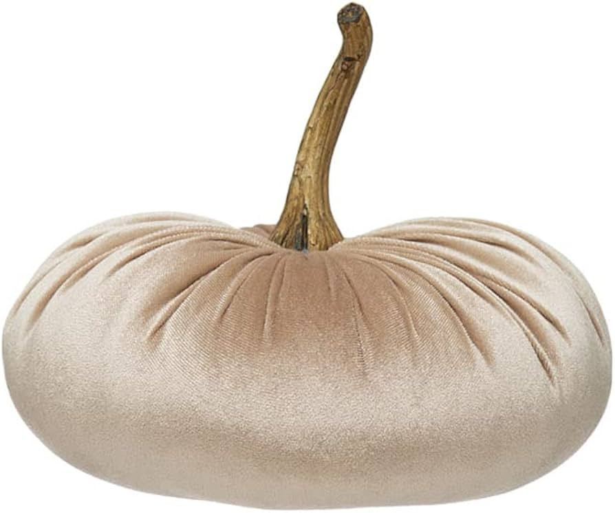 Creative Co-Op Decorative Velvet Pumpkin with Resin Stem, Tan | Amazon (US)