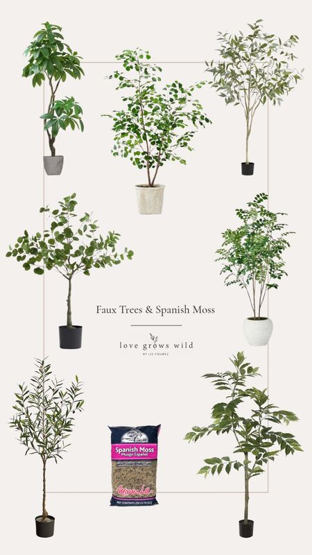 Favorite affordable faux trees + the secret ingredient to make them look more realistic!

#LTKhome