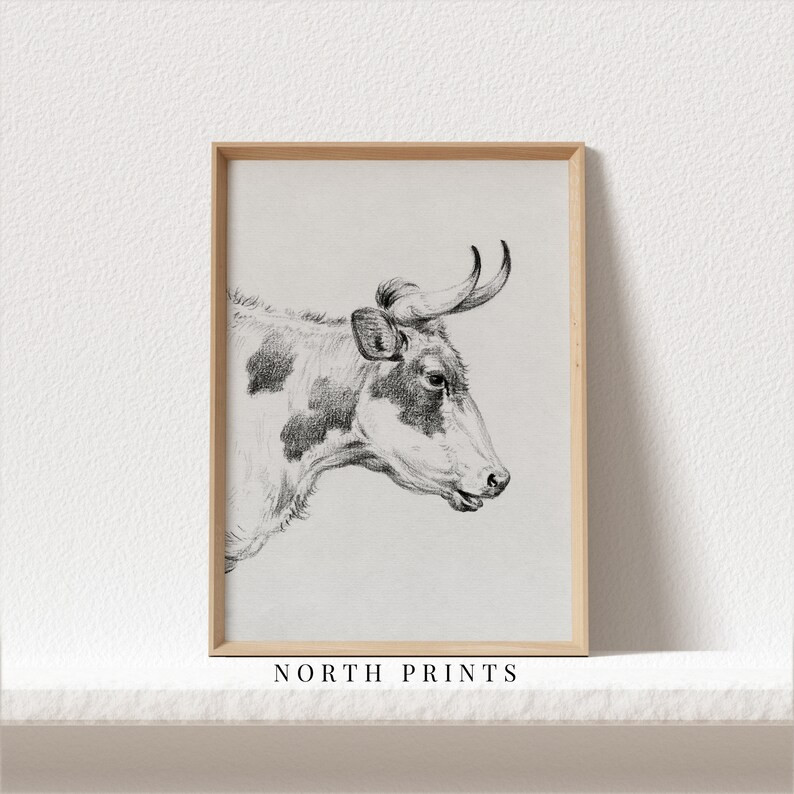 Farmhouse Sketch  Primitive Drawing  Vintage Cow Etching - Etsy | Etsy (US)