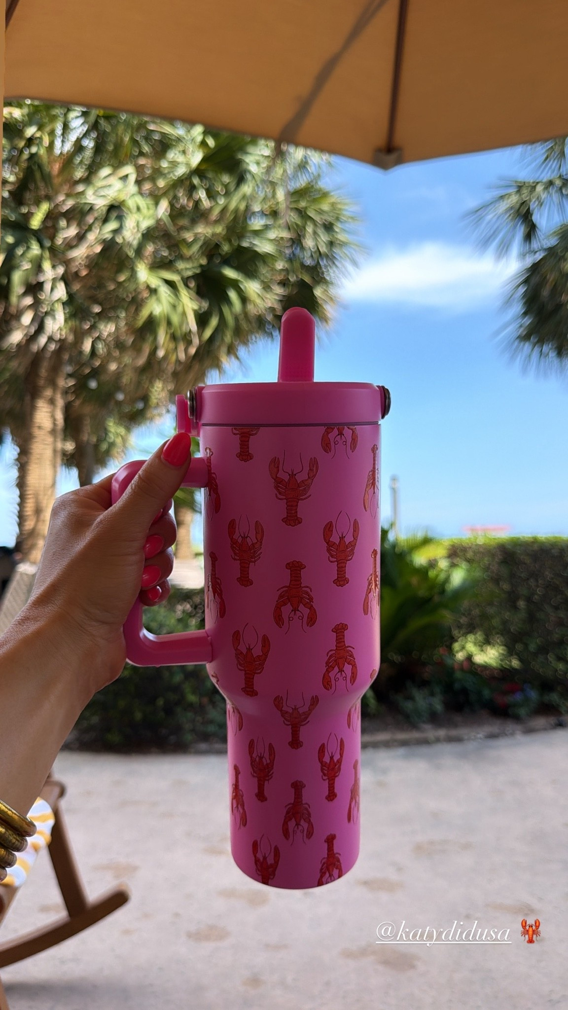 🦞💖✨