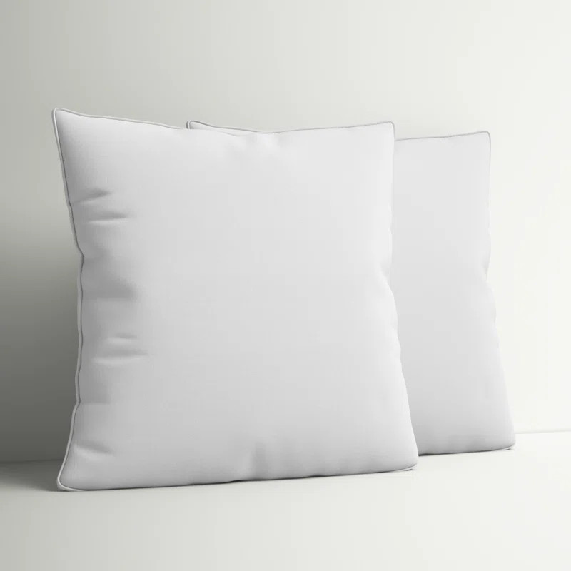 Wayfair Basics® Didomenico Euro Square Pillow Insert (Set of 2) | Wayfair North America