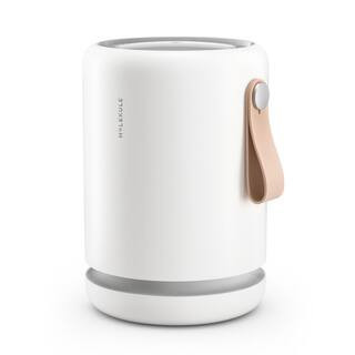 Air Mini + 250 sq.ft. Air Purifier with PECO-HEPA Tri-Power Filter | The Home Depot