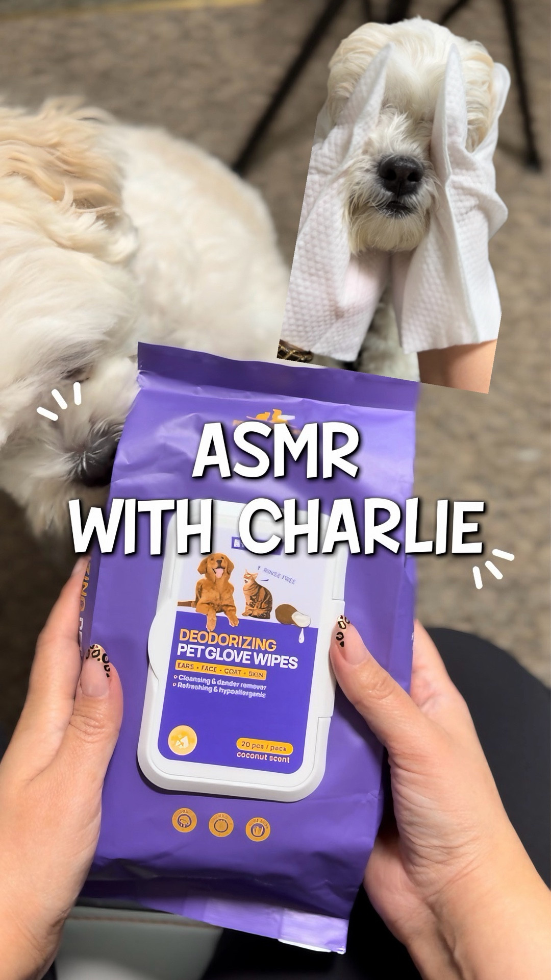 Keeping my dog fresh between baths 🐾✨
These deodorizing pet wipes are my go-to for quick cleanups on Charlie — paws, face, and coat all in one. They remove odors, leave him smelling coconut-fresh, and are gentle enough for everyday use. Perfect for dogs who hate baths but love being spoiled 🤍
Linked in my LTK under pet essentials.

#LTKpets #LTKhome #LTKfinds #dogmomlife #petmusthaves #doggrooming #petcare #amazonpets #dogessentials #cleandog

#LTKFindsUnder50 #LTKmomlife #LTKSaleAlert