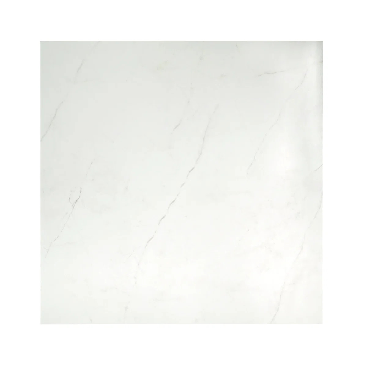 Sterlina II Asphalt 24 in. x 24 in. Matte Porcelain Floor and Wall Tile (15.5 sq. ft./Case) | Wayfair North America