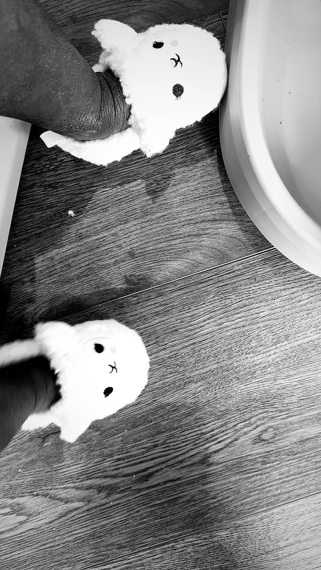 Found the PERFECT slippers for Em today!!! 

#LTKkids #LTKshoecrush #LTKbaby