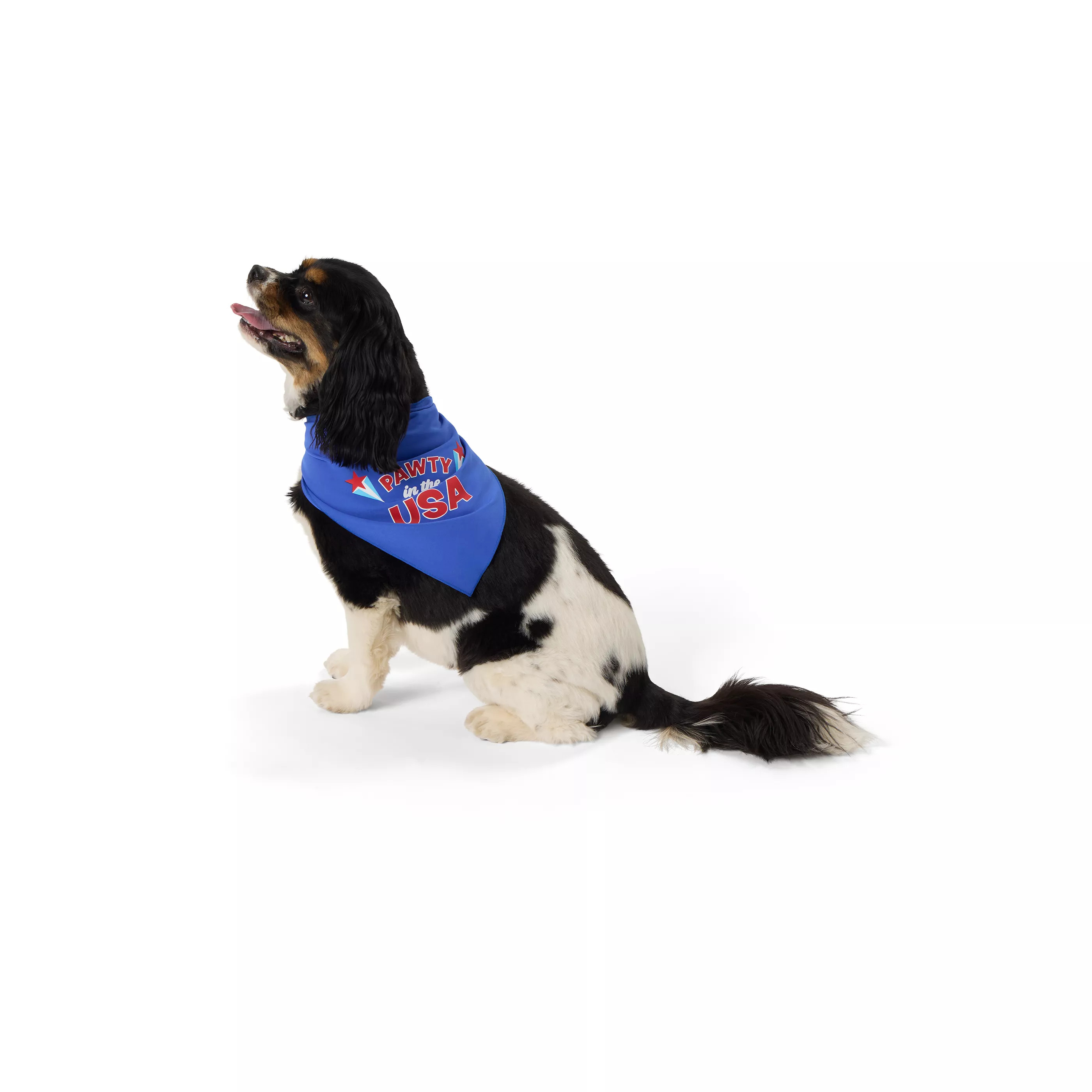 Top Paw® Pawty in the USA Dog Bandanas, 2 Count | PetSmart