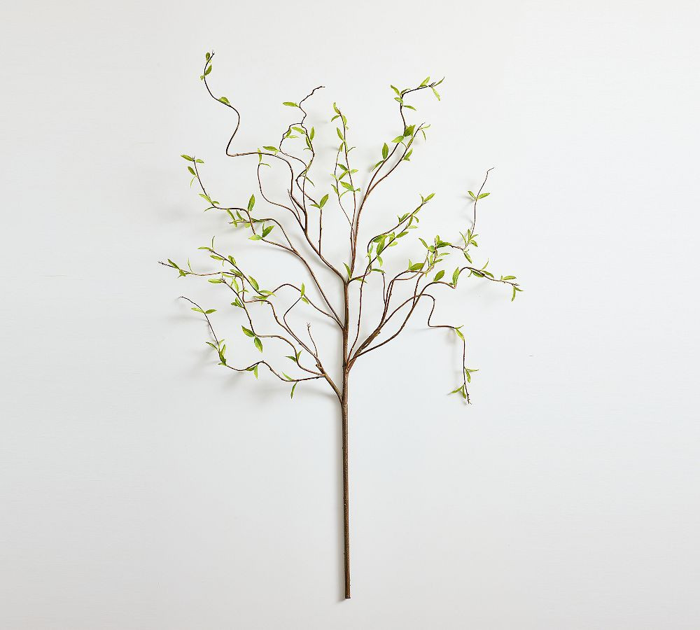 Curly Willow Branch | Pottery Barn (US)