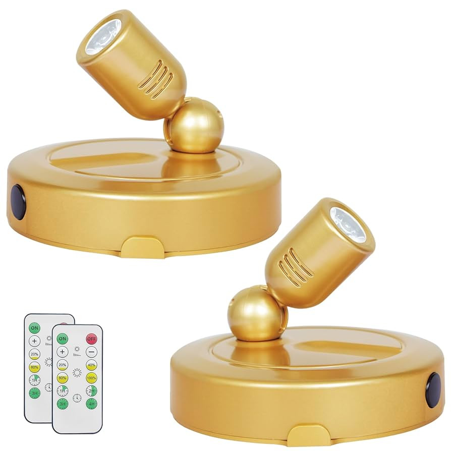 Indoor Spotlight, Battery Operated Spotlights with Remote, Picture Lights for Wall, Plant Tree Sp... | Amazon (US)