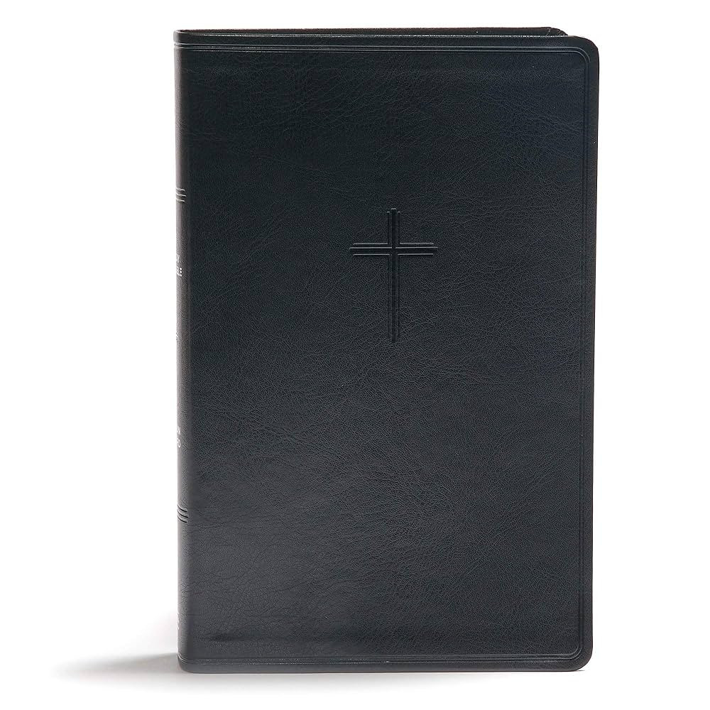 CSB Everyday Study Bible, Black LeatherTouch, Black Letter, Study Notes, Illustrations, Aricles, ... | Amazon (US)