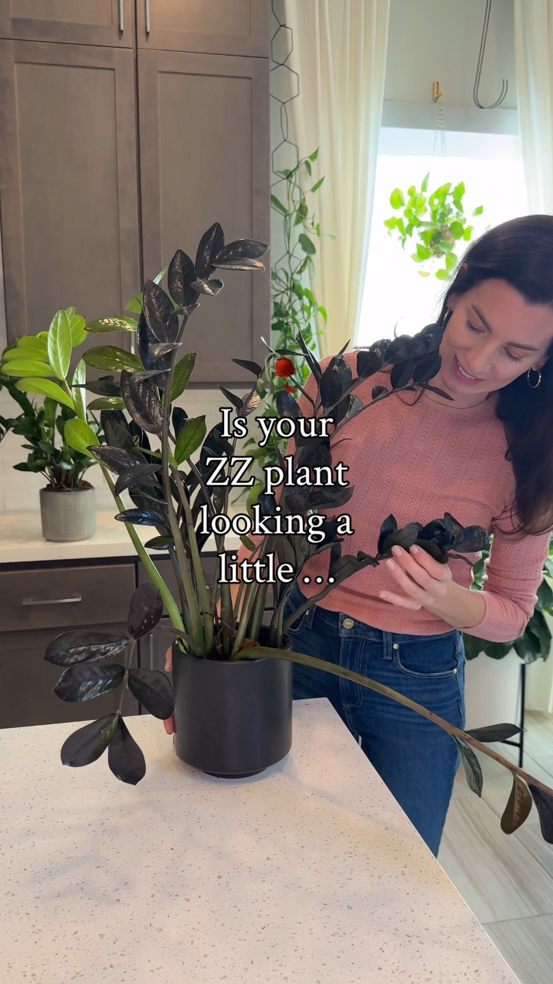 If your ZZ isn’t standing tall, it might just be feeling a little cramped 🌿 When roots run out of room, new growth slows down and the branches can start to droop. A quick refresh and some extra space make all the difference!

I finished with @solsoils Repot Recovery to help reduce stress and boost healthy roots 💧 Use code JacquelynGrows for 10% off at Sol Soils!

ZZ plant care | rootbound ZZ plant | how to revive ZZ | sol soils repot recovery | repotting houseplants | indoor plant tips | plant care routine

#zzplant #houseplants #plantcare #repotting #solsoils #plantlover #planttips #plantinspo #planttok #plantreel #plantcommunity

#LTKOver40 #LTKHome #LTKSaleAlert