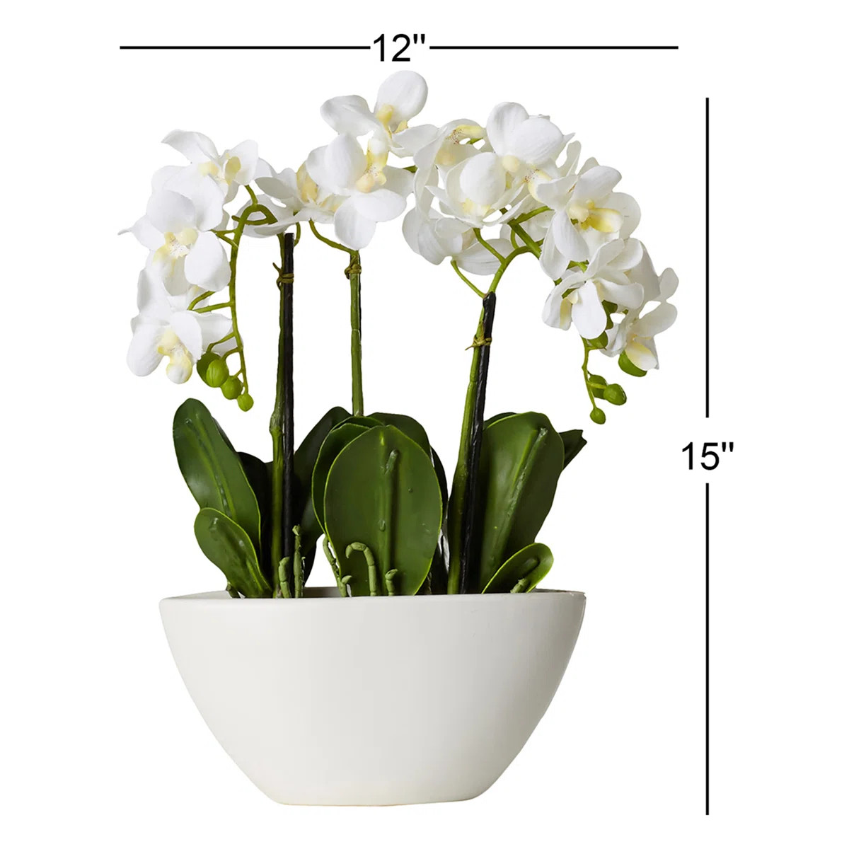 Latitude Run® Orchid Centerpiece in Pot & Reviews | Wayfair | Wayfair North America