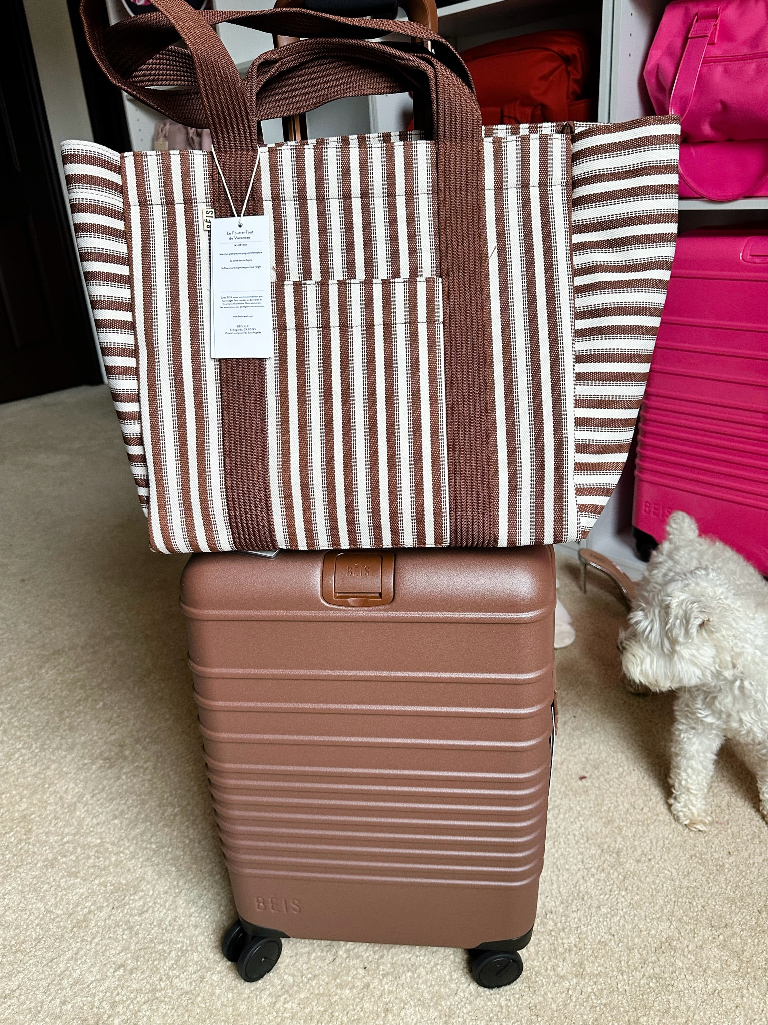 My Favorite Luggage Brand 

#LTKTravel #LTKOver40