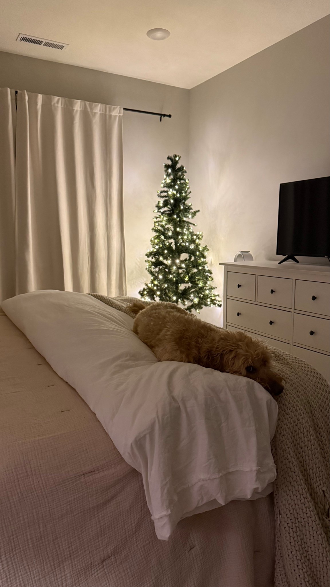 Target skinny Christmas tree on sale! 

#LTKSeasonal #LTKSaleAlert #LTKHoliday