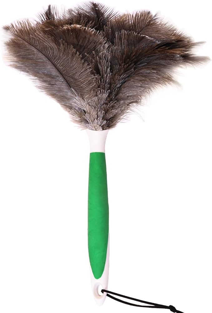 Dyanne Ostrich Feather Duster, 16 Inch Soft and Fluffy Reusable Feather Duster for Cleaning, Long... | Amazon (US)