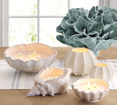 Shell candle collection  | Pottery Barn (US)