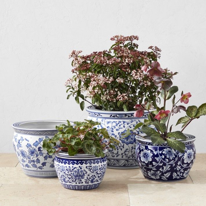 Blue & White Ceramic Planter Set | Williams-Sonoma